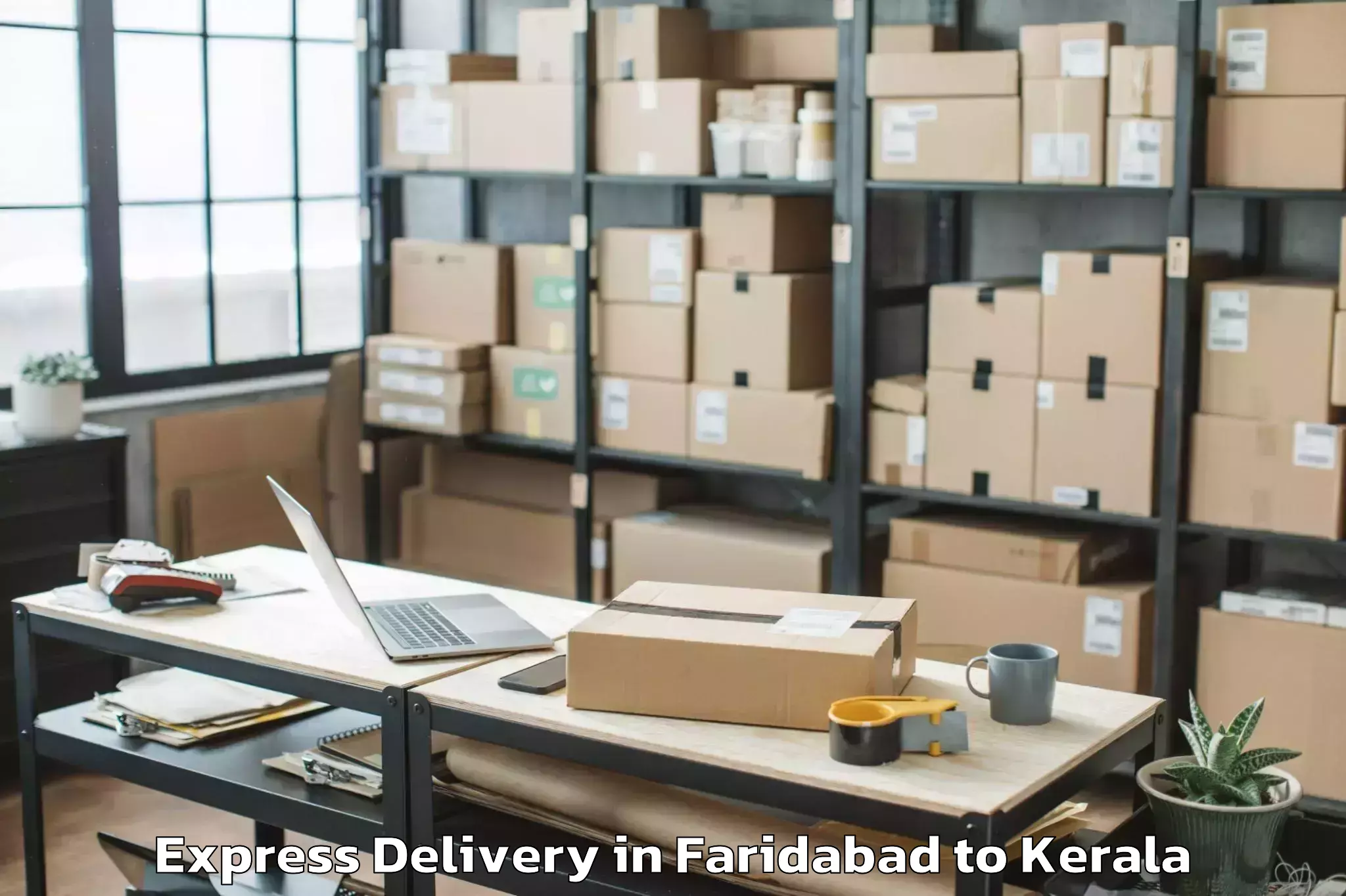 Top Faridabad to Meenachil Express Delivery Available